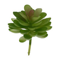 Succulent Pick