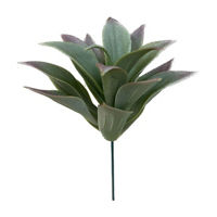 Succulent Pick