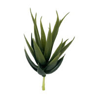 Succulent Pick