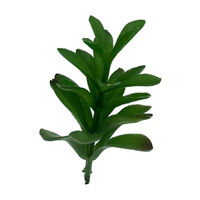 Succulent Pick