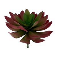 Succulent Pick