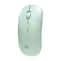 Wireless Mouse, Mint 