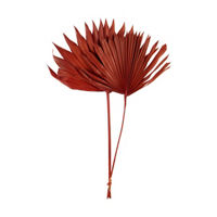 Burnt Orange Sun Spear Stem, 2 Pieces