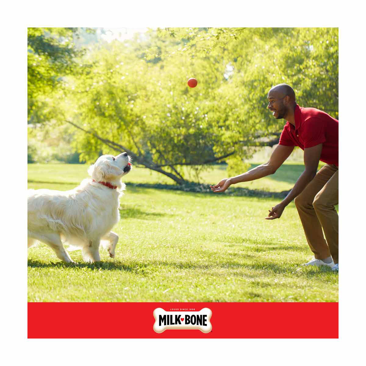 Milk-Bone Stacked Dog Biscuits, Molasses & Peanut Butter Flavor, Naturally & Art