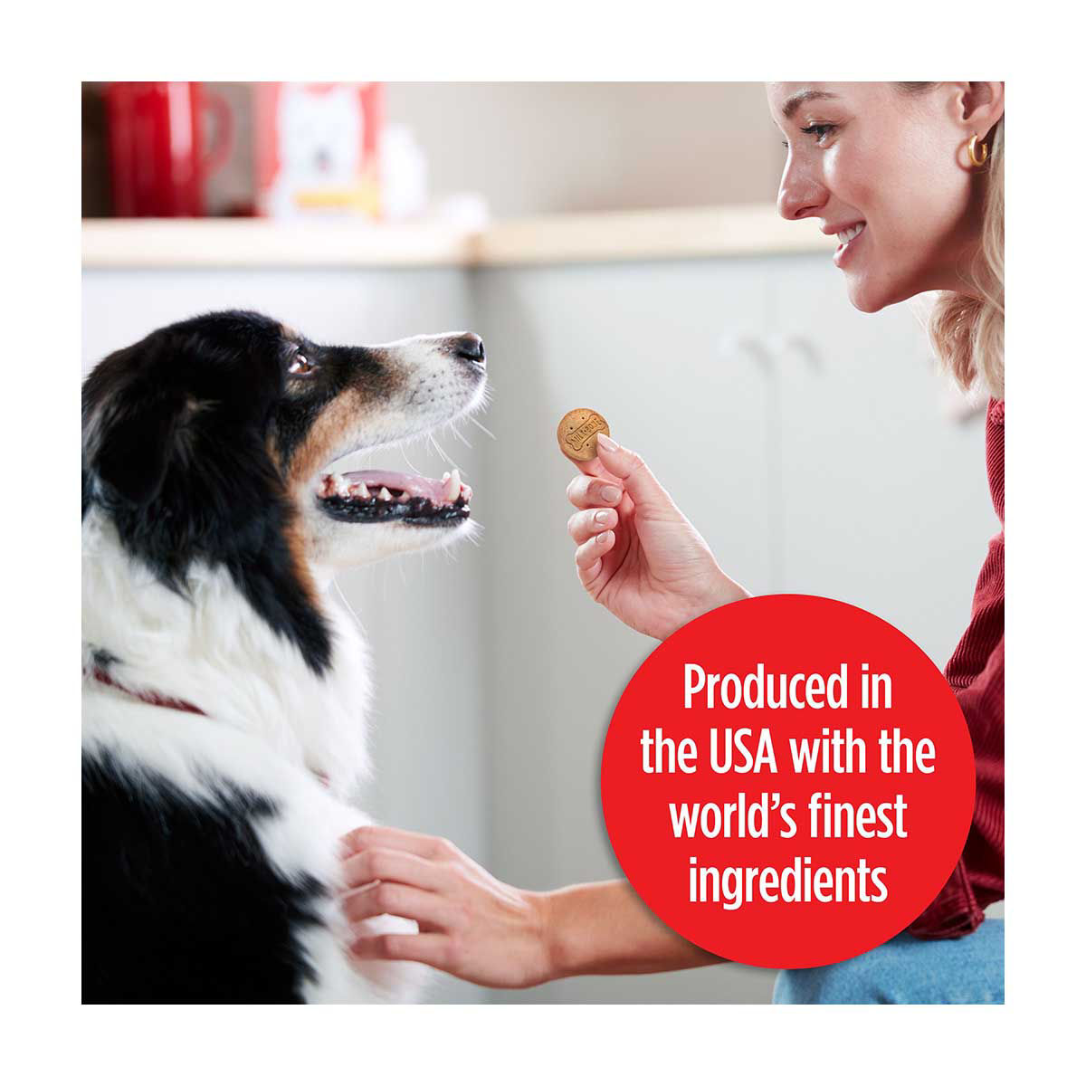 Milk-Bone Stacked Dog Biscuits, Molasses & Peanut Butter Flavor, Naturally & Art