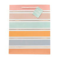 Foil Striped Embellished Gift Bag with Tag, Large
