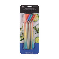 Evoke Stainless Steel Reusable Straws Travel Kit with