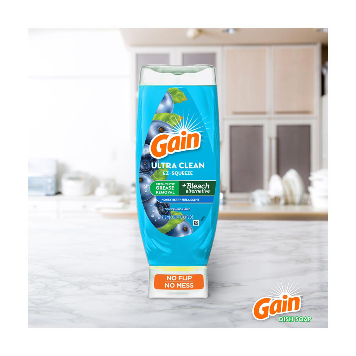 Gain Dishwashing EZ Squeeze Liquid Dish Soap, 24.3 fl oz