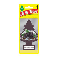 Little Trees Blackberry Clove Air Freshener, 1 ct
