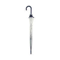 Clear Dome Umbrella, Assorted