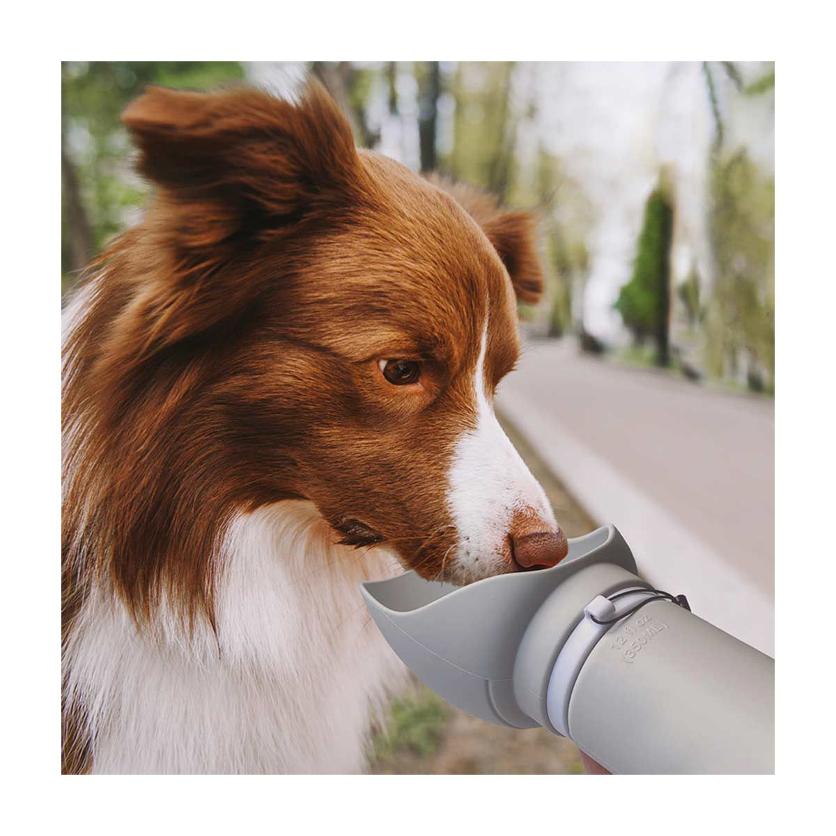 Silicone Foldable Travel Water Bottle, 350ml