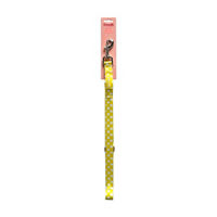 Friendli Neoprene Dog Leash, 5ft, Yellow