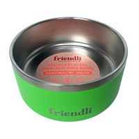 Friendli Stainless Steel Double Wall Dog Bowl, 32 oz, Cosmic Green 