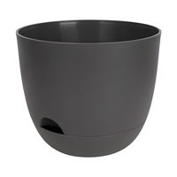 Plastic Planter, 12 in, Assorted