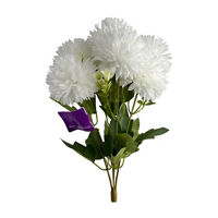 Chrysanthemum Bush, White
