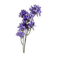 Purple Dogwood Spray