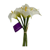 Callalily Bush, White