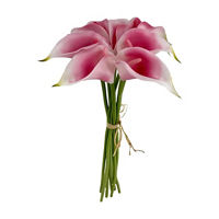 Pink Callalily Bush