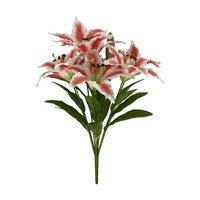 Pink Lily Bush