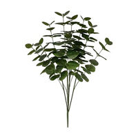 Green Eucalyptus Bush