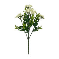 White Berry Pick