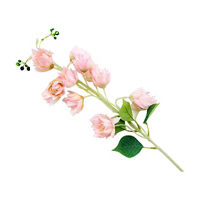 Floral Stem, Pink