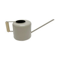 Classic Metal Watering Can