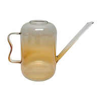 Ombre Glass Watering Can