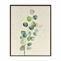 Eucalyptus Framed Art