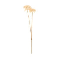 Natural Sola Flowers Dried Floral Bouquet