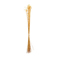 Natural Happy Flowers Dried Floral