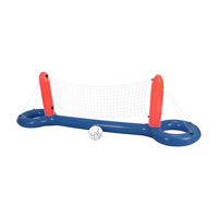 Volleyball and Basketball Hoop Pool Game