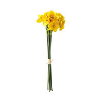 Yellow Daffodil Bush