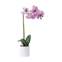 Elegant Artificial Phalaenopsis Orchid Plant
