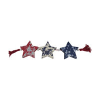 Floral Star Decor with Tassels, 22 in