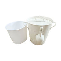 Classic White Metal & Plastic Ice Bucket Set