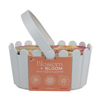 Blossom & Bloom Basket Grow Kit, Assorted