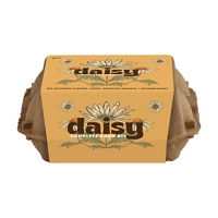 Egg Carton Grow Kit, Assorted