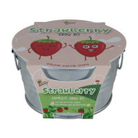 Kid's Mini Grow Kit, Assorted