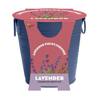 Painted Flower Grow Pail, Assorted