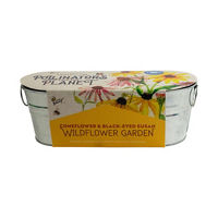Pollinator Windowsill Grow Kit