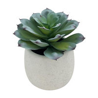 Succulent Ceramic pot