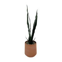 Artificial Snake Plant in Planter
