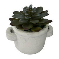 Succulent Pot, 4.5in