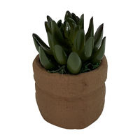 Artificial Succulent Plant in Sac, 5in