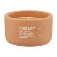 Terracotta Cement Container Candle in Citron Berry Scent, 7 oz
