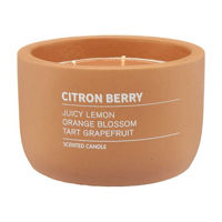Terracotta Cement Container Candle in Citron Berry Scent, 14 oz