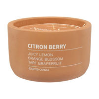 Terracotta Cement Container Candle in Citron Berry Scent, 25 oz