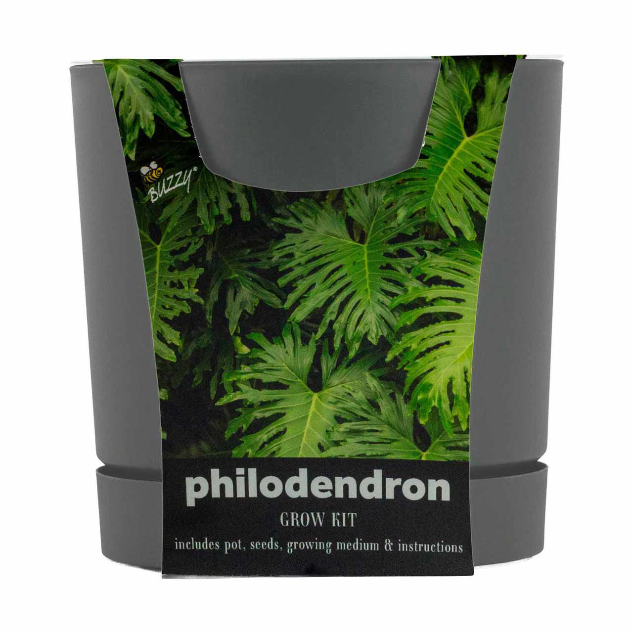 Buzzy Philodendron Classic Round Planter Grow Kit — pOpshelf (SKU 40615801)