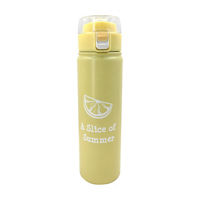 Double Wall Stainless Steel Bottle With Handle, 23 oz, Yellow